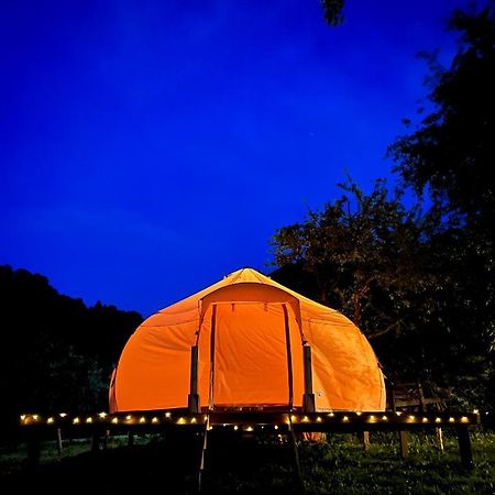 Flore'S Garden Glamping Μπραν Εξωτερικό φωτογραφία