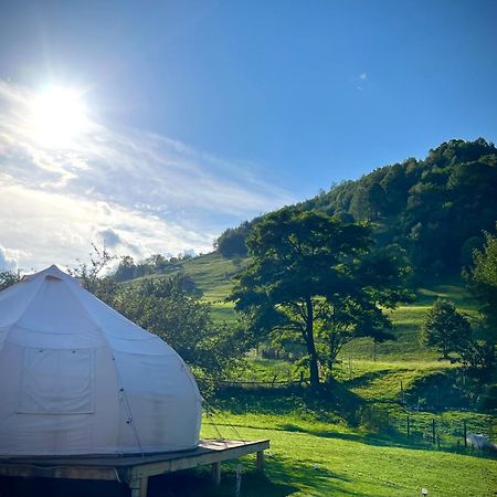 Flore'S Garden Glamping Μπραν Εξωτερικό φωτογραφία