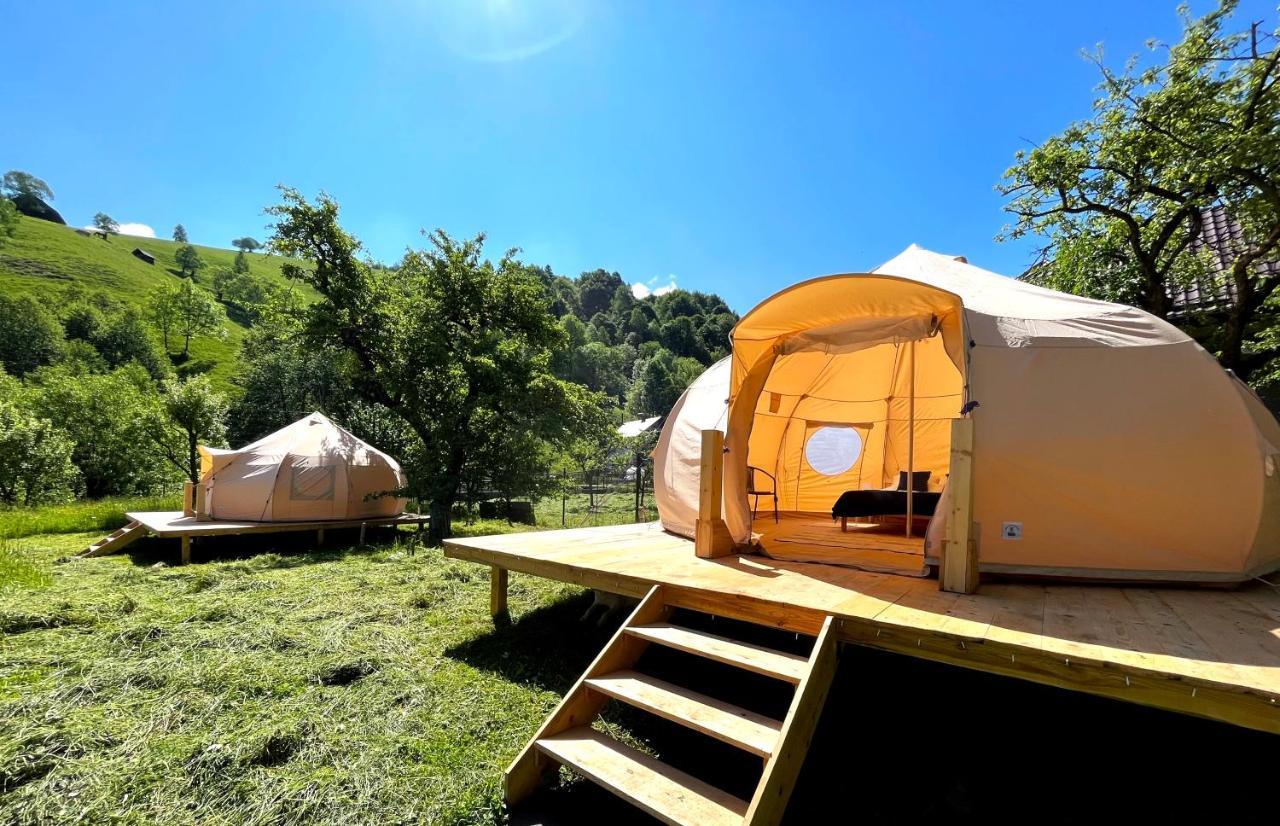 Flore'S Garden Glamping Μπραν Εξωτερικό φωτογραφία