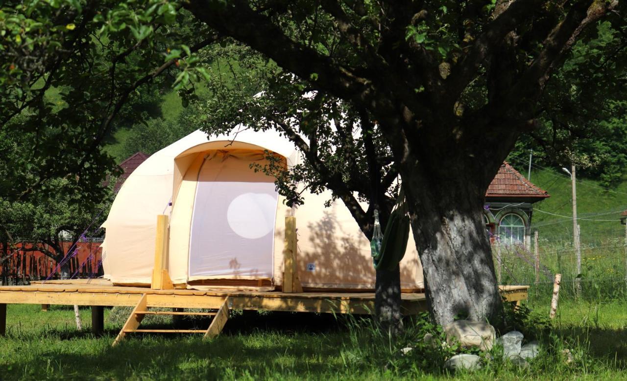 Flore'S Garden Glamping Μπραν Εξωτερικό φωτογραφία