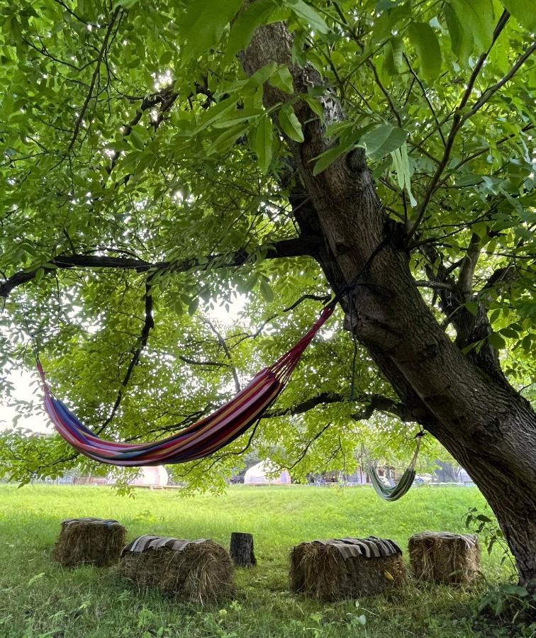 Flore'S Garden Glamping Μπραν Εξωτερικό φωτογραφία