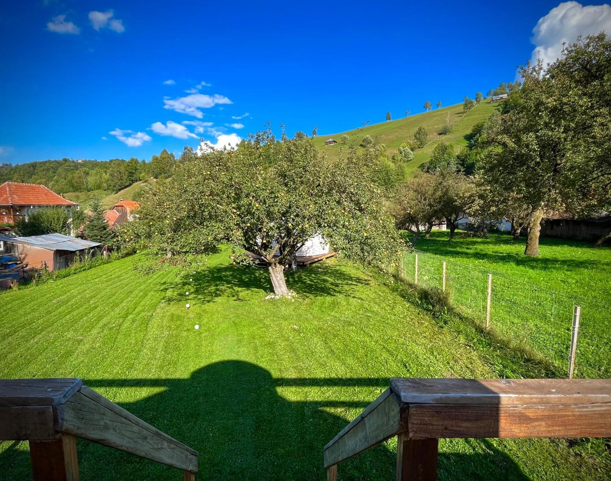 Flore'S Garden Glamping Μπραν Εξωτερικό φωτογραφία
